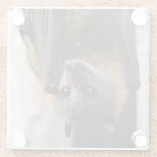 Dessous-de-verre En Verre Batte australienne (Dos)