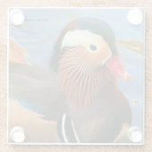 Dessous-de-verre En Verre Beau canard Mandarin dans l'étang (Dos)