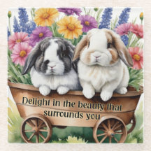 Beau Lapin Lapin Lop Joli lapin