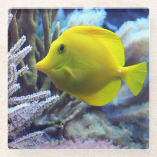 Dessous-de-verre En Verre Beau poisson et corail jaune sous l'eau