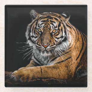 Dessous-de-verre En Verre Beau tigre avec Arrière - plan noir
