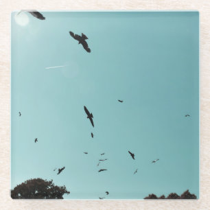 Dessous-de-verre En Verre Beaucoup d'oiseaux et un controle