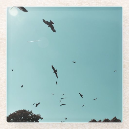 Dessous-de-verre En Verre Beaucoup d'oiseaux et un controle (Devant)