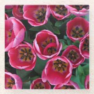Dessous-de-verre En Verre Beauté des tulipes roses