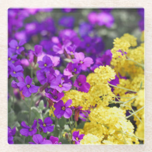 Dessous-de-verre En Verre Beautés florissantes