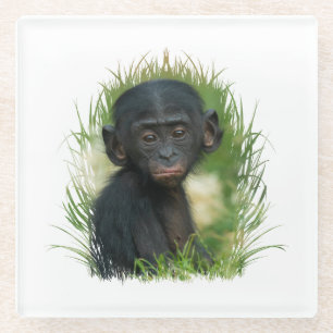 Dessous-de-verre En Verre Bébé Bonobo Ape