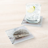 Dessous-de-verre En Verre Bébé de hérisson (Incliné)