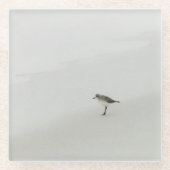 Dessous-de-verre En Verre Bécasseau côtier sur la plage (Devant)