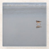 Dessous-de-verre En Verre Bécasseau Longeant La Plage (Devant)