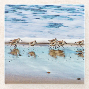 Dessous-de-verre En Verre Bécasseaux fonctionnant le long de la plage