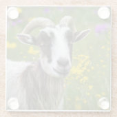 Dessous-de-verre En Verre Belle chèvre (Dos)