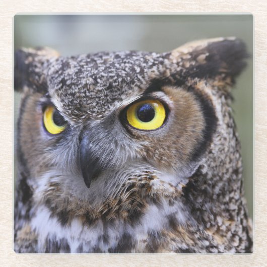 Dessous-de-verre En Verre Belle Chouette (Devant)