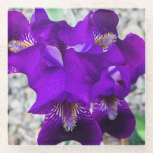 Dessous-de-verre En Verre Belle iris violet