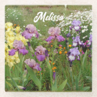 Belle Iris Violet Irises fleur floral Jardin