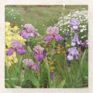 Dessous-de-verre En Verre Belle photo florale d'iris violet