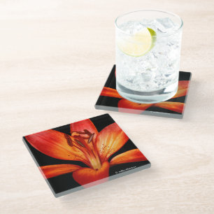 Dessous-de-verre En Verre Belle Rouge Orange Asiatique Lily Gran Paradiso
