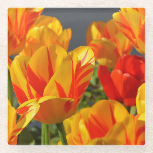Dessous-de-verre En Verre Belles tulipes orange et jaune