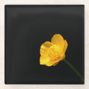 Dessous-de-verre En Verre Beurre Fleur de la côte