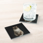 Dessous-de-verre En Verre Black 4 Luxe Glass coaster, Birmanese Cat (Incliné)