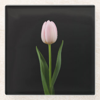 Dessous-de-verre En Verre Black 4 Luxe Glass coaster, Blush Pink Tulip
