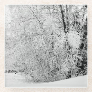 Dessous-de-verre En Verre Blancs d'hiver