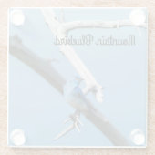 Dessous-de-verre En Verre Bluebird de montagne (Dos)