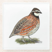 Dessous-de-verre En Verre Bobwhite Quail (Devant)
