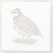 Dessous-de-verre En Verre Bobwhite Quail (Dos)