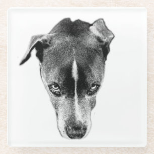 Dessous-de-verre En Verre Bold Pitbull Mix Gaze Dessous de verre d'art moder