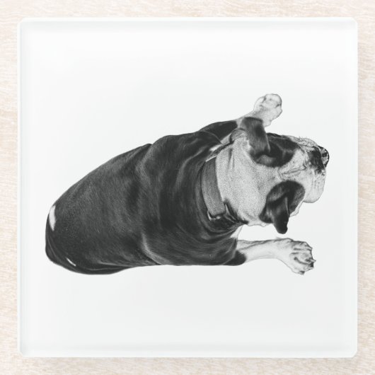 Dessous-de-verre En Verre Bouledogue avec Expression Joyeuse (Devant)