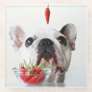 Dessous-de-verre En Verre Bouledogue français regardant un poivron rouge