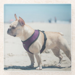 Dessous-de-verre En Verre Bouledogue français sur la plage
