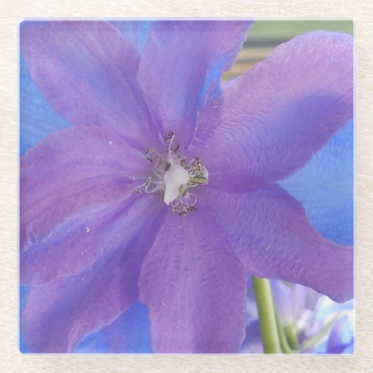 Dessous-de-verre En Verre Bowen (Devant)