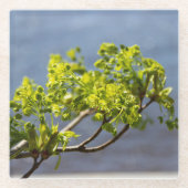 Dessous-de-verre En Verre Branche verte mignonne dans le vent (Devant)