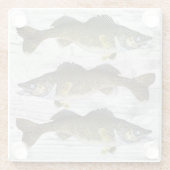 Dessous-de-verre En Verre Brochets vairons pêchant les poissons rustiques de (Dos)