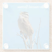 Dessous-de-verre En Verre Bruant à couronne blanche (Dos)