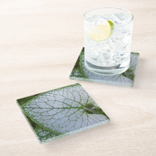 Dessous-de-verre En Verre Brunnera Macrophylla Plante feuille florale