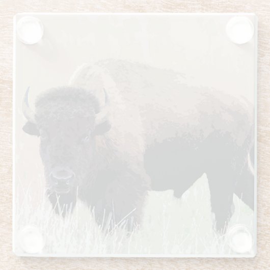 Dessous-de-verre En Verre Buffle / Bison (Dos)