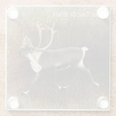 Dessous-de-verre En Verre Bull Caribou (Reindeer) (Dos)