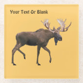 Dessous-de-verre En Verre Bull Moose (Devant)