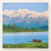 Dessous-de-verre En Verre Bull moose in Wonder Lake (Devant)