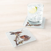 Dessous-de-verre En Verre Buse à épaulettes roux Audubon Oiseau de proie (Incliné)