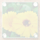 Dessous-de-verre En Verre Calendula Officinalis (Dos)