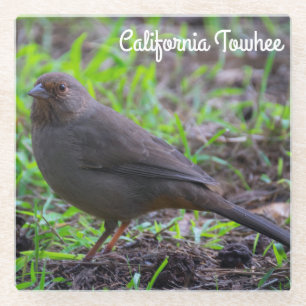 Dessous-de-verre En Verre California Towhee