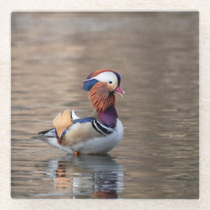 Dessous-de-verre En Verre Canard de Mandarin