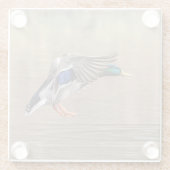 Dessous-de-verre En Verre Canard Mallard en vol (Dos)