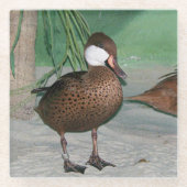 Dessous-de-verre En Verre Canards (Devant)