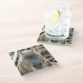 DESSOUS-DE-VERRE EN VERRE CAPYBARA (Incliné)