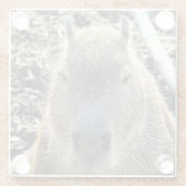 DESSOUS-DE-VERRE EN VERRE CAPYBARA (Dos)