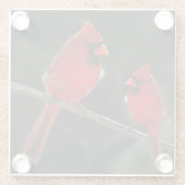 DESSOUS-DE-VERRE EN VERRE CARDINAL (Dos)